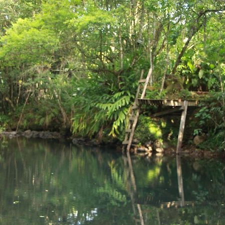 Casa De Campo - Sitio Da Tia Vera Villa Maquine Luaran gambar